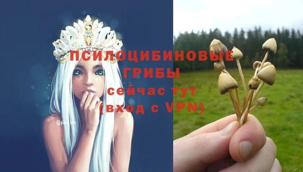 кокаин перу Алзамай